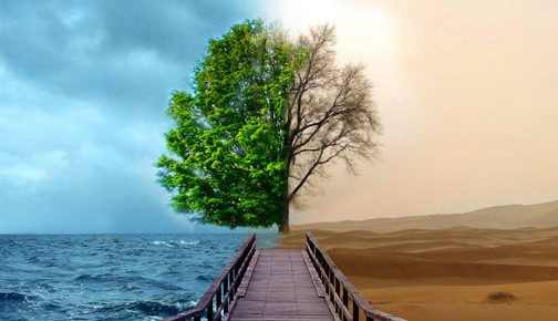 71歲萬通發展董事長，突然被拘留