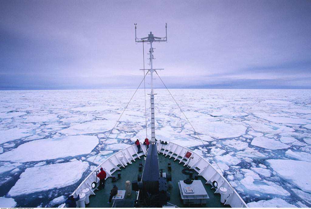 三季報凈利大增卻被董事潑冷水：財報不“保真”