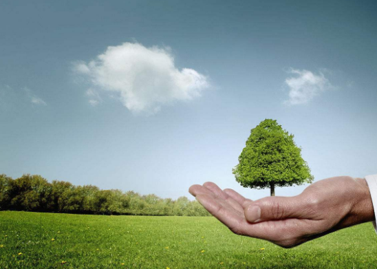 環保股票行情未走完 環保股票龍頭股有哪些？