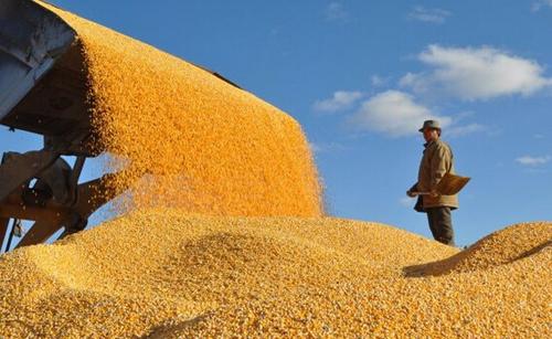 下半年,如何讓錢生錢?