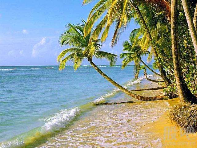 股海牧童揭秘漲停板：海南板塊異軍突起