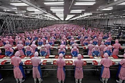 股海牧童揭秘漲停板：近端次新殺出重圍