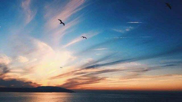 揭秘漲停板：題材股多點(diǎn)開(kāi)花 消費(fèi)概念暴動(dòng)