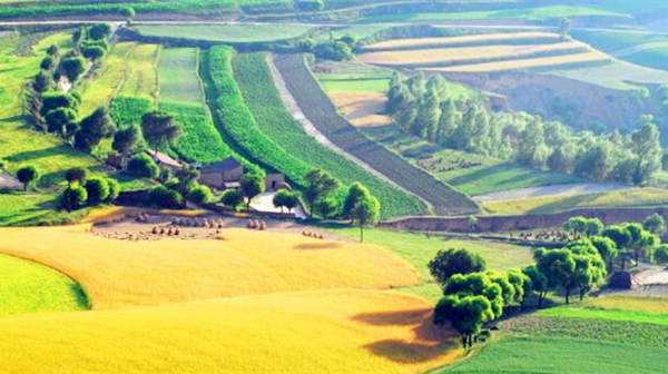 新農開發股票怎么樣 有哪些投資要點