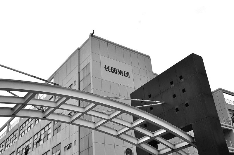 瑞豐高材股票潛力股條件，必看！