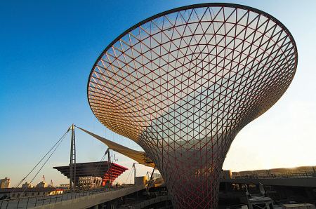 11連板牛股，披露股價異動核查結果