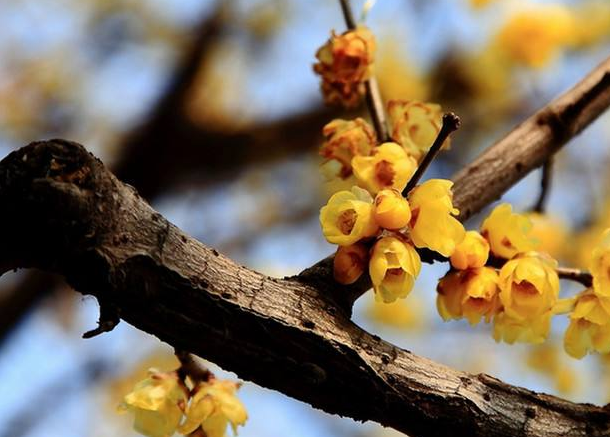 一場新的P2P騙局,正在醞釀?