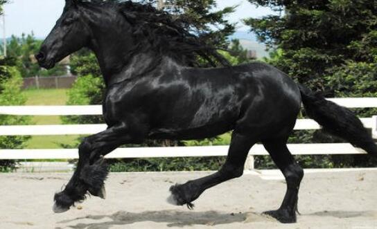 超級賽道迎重大利好！概念股來了！