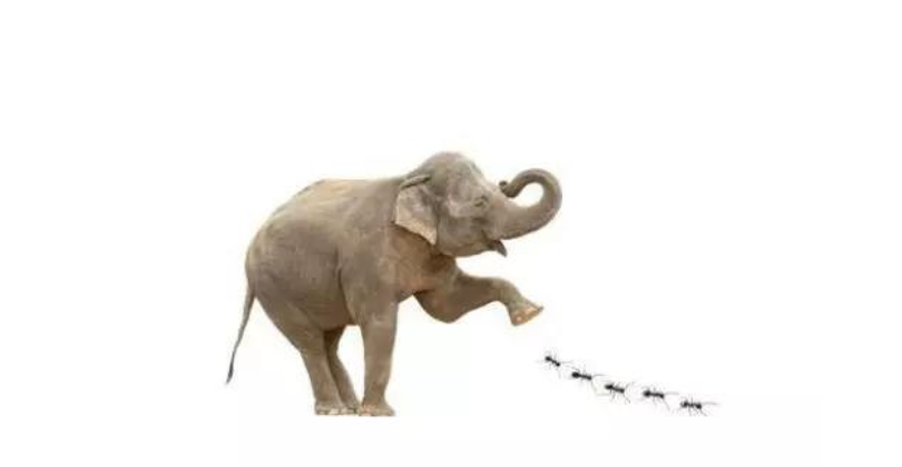 特斯拉現大幅上漲，市值暴漲4900億！