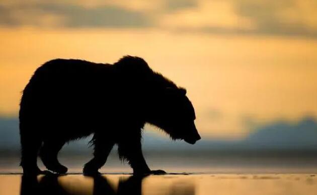 光伏再開反內卷會議，細節探討將在今明展開！