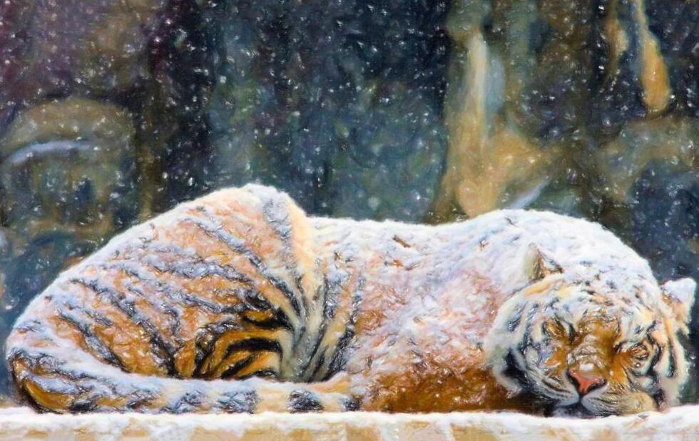 漂亮國的金融陰謀論,讓人不寒而栗