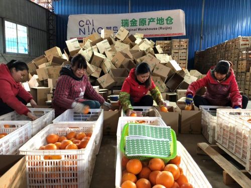 創業資訊：“菜鳥”下鄉開設農產品原產地倉 打造精準智慧物流