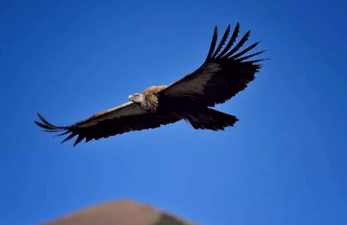 股票|周希儉再染指化妝品公司能成功? 股票|周希儉再染指化妝品公司能成功?