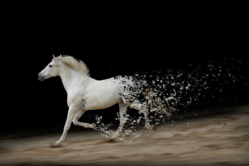 剛剛茅臺業績崩了,白馬股時代結束! 剛剛茅臺業績崩了,白馬股時代結束!