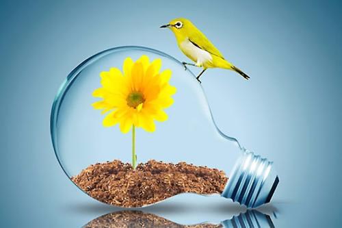 股票實(shí)戰(zhàn)之私募一哥徐翔教你穩(wěn)贏股市的幾招