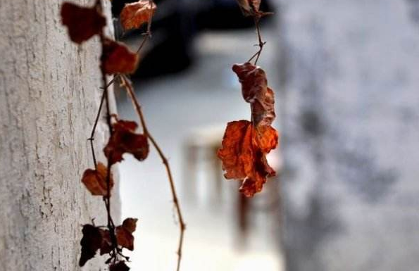 股票走勢圖解析-大盤突破半年線后如何操作? 股票走勢圖解析-大盤突破半年線后如何操作?