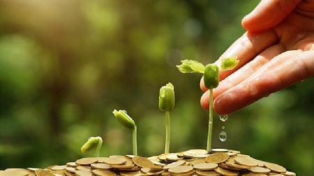 投資理財入門：打板的技巧有哪些？