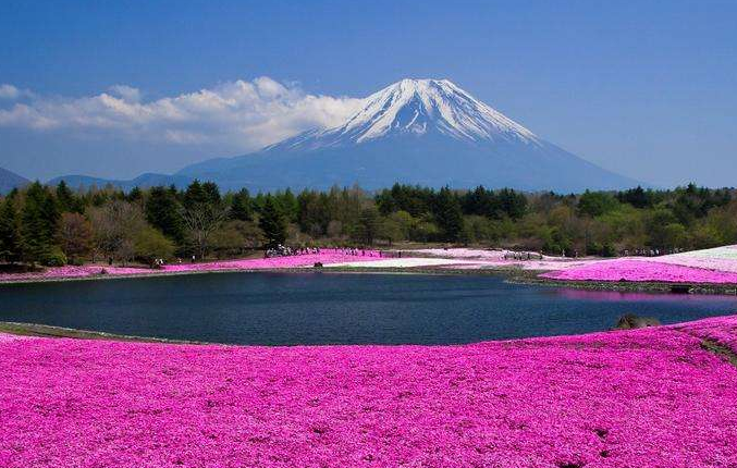 <b>三千點之后 哪些股票值得買?</b>