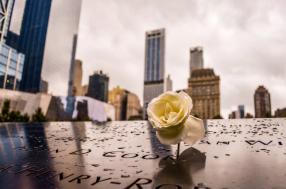 股票-牛市操作手冊：主線板塊教你玩低吸