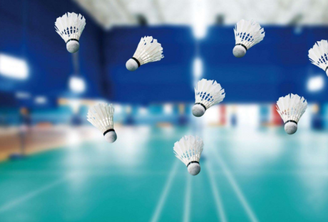 <b>A股走勢預測 重點關注這些品種機會！</b>