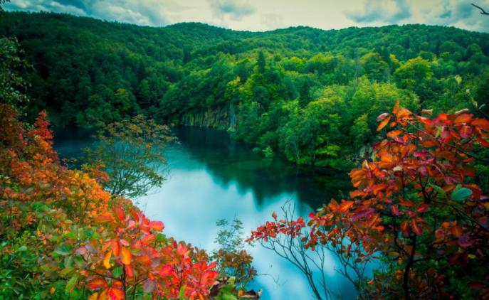 怒賺200多億爆發!10派100這不是茅臺! 怒賺200多億爆發!10派100這不是茅臺!