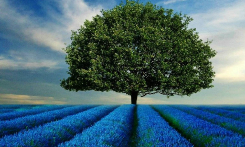 k線圖解（珍藏版）