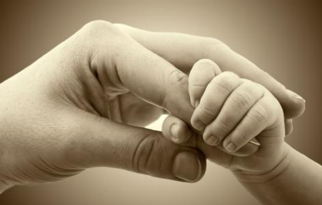 2018全國剖宮產率