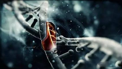 精準醫療概念股