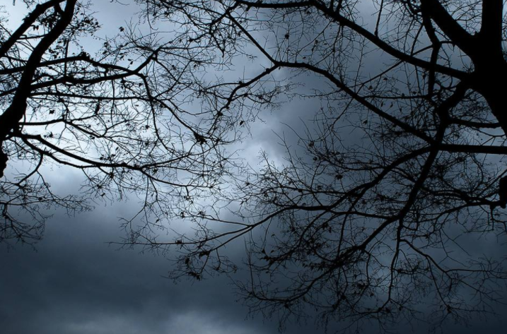 不僅僅是垃圾分類概念 這些品種都將迎來機會!