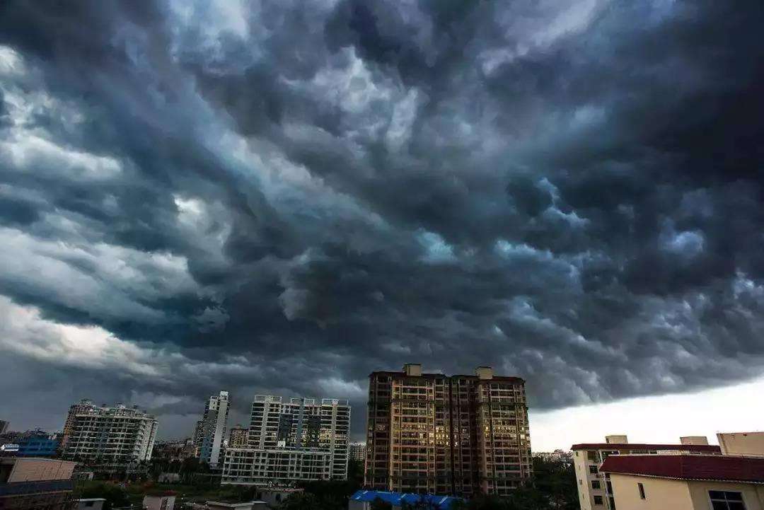 環保股暴漲背后 垃圾分類行業最強操作指南!