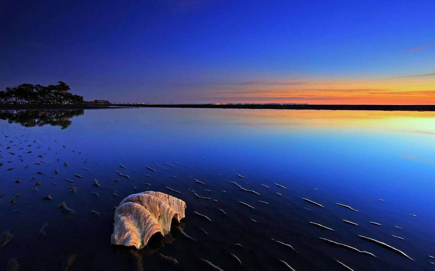 日照港最新消息：用茶香書寫著北方茶產(chǎn)業(yè)發(fā)展