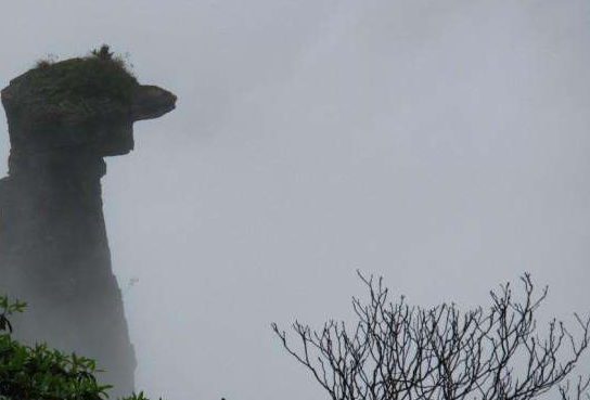 吳曉波頻道:踏踏實實地學好投資這三步!