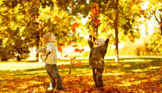 道瓊斯指數(shù)行情-股市反彈受到阻力！