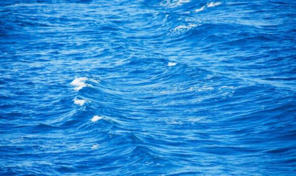 個股分析-海康威視用實際業績打臉看空者