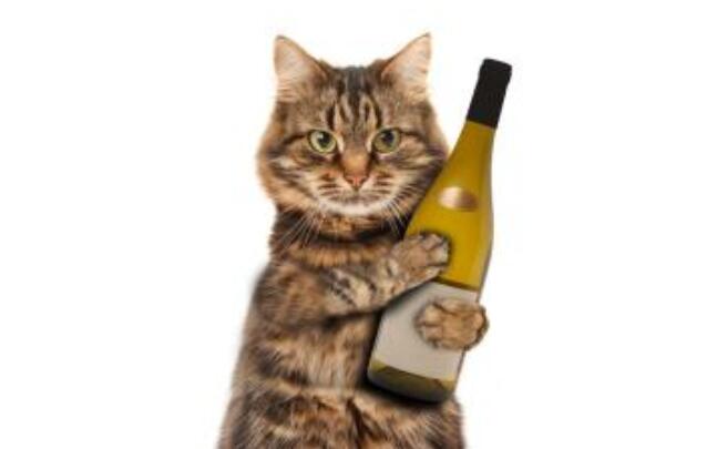 炒股技巧-手把手幫你選慢牛股！