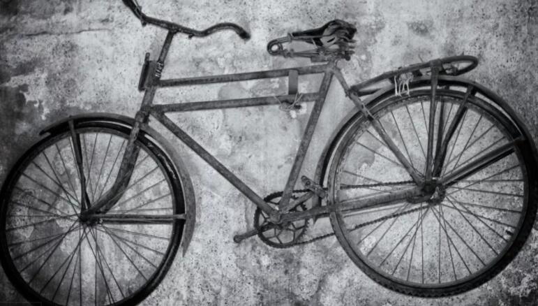 樹澤:共享單車“敗走記” 值得深思!