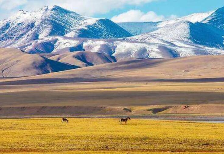 今日股市行情分析-財經(jīng)365猛料（12.31）