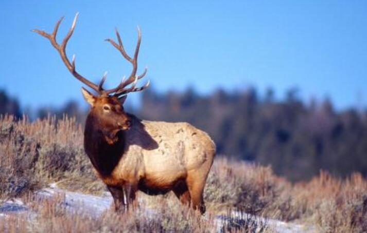 今日股市行情分析-財經(jīng)365猛料（1.9）