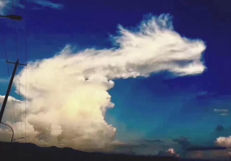 黑馬股票網(wǎng)