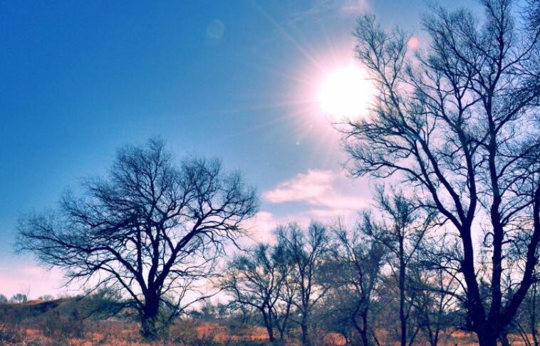 美股暴漲 為何A股卻不漲了？