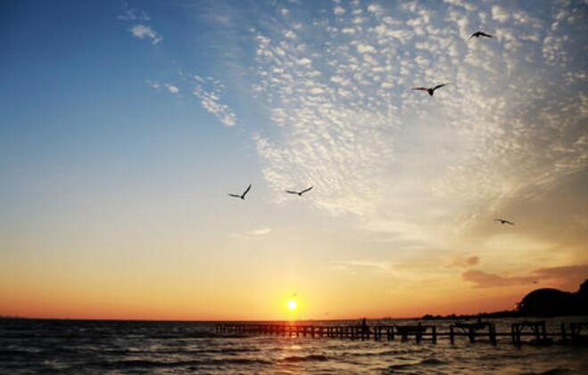 股市一根“大長腿”該干就干不留遺憾! 股市一根“大長腿”該干就干不留遺憾!