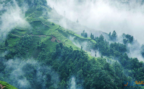 達州上市公司有哪些？達州有幾家上市公司？達州上市公司名單