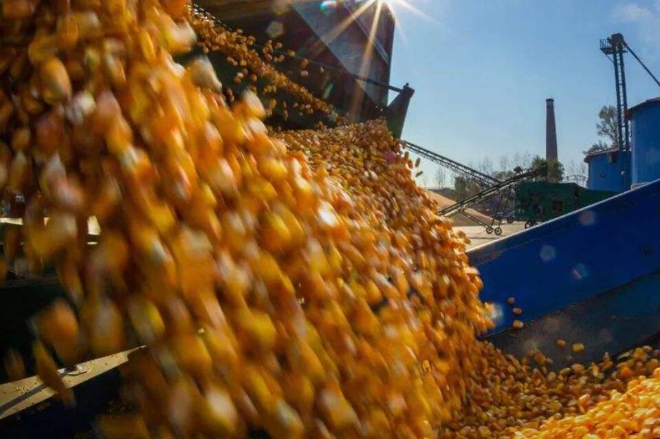 糧食危機概念股有哪些？糧食危機概念股一覽（