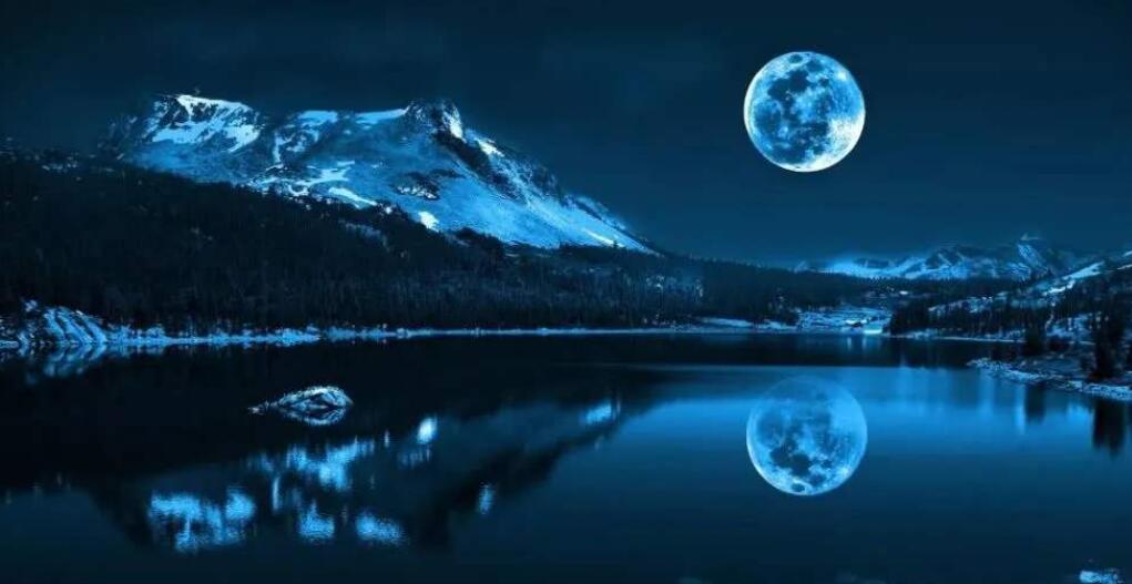 財經365視界-疫情下找工作的互聯網人