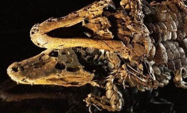 油頁巖概念股有哪些 油頁巖概念股票一覽表