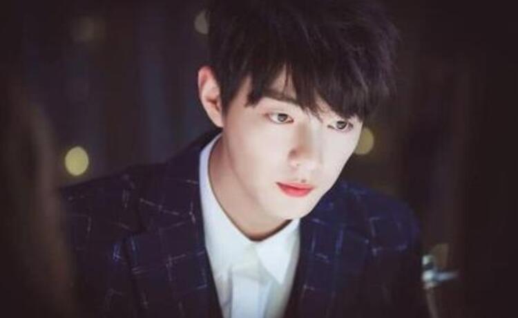 楊紫點贊肖戰微博