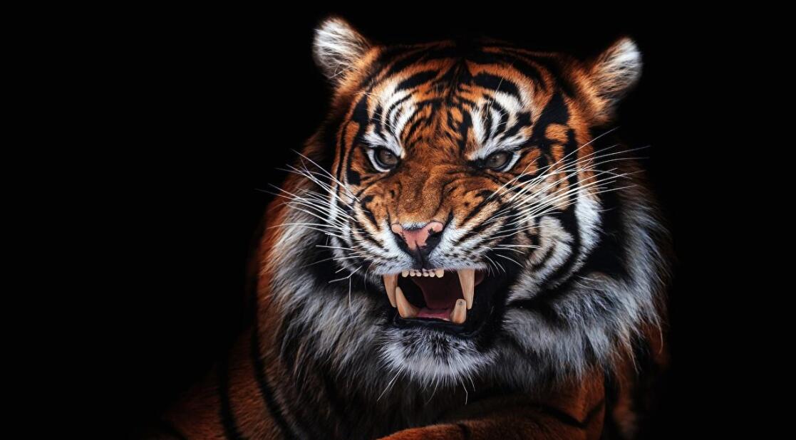 財(cái)經(jīng)365股票-周三市場或?qū)⒃俣刃菹ⅲ? title=