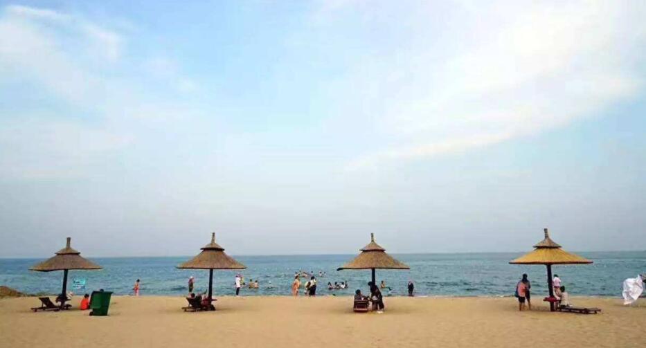 看大盤走勢(新手炒股最全知識)