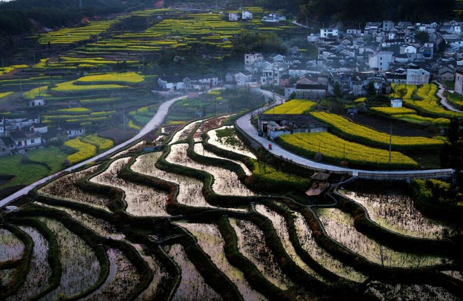 2020安徽省上市公司有哪些-安徽省上市公司名單