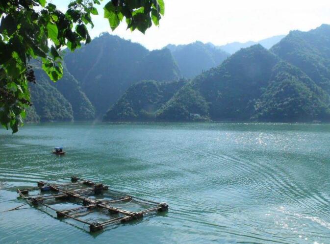 asi指標(biāo)詳解及實(shí)戰(zhàn)用法-asi指標(biāo)炒股